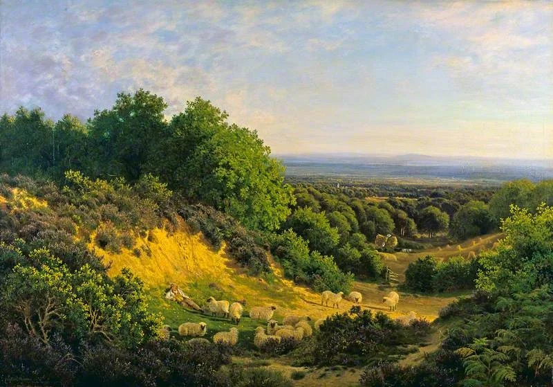 The Evening Sun: View on Ewhurst Hill, near Guildford, by John Clayton Adams, oil, 1890