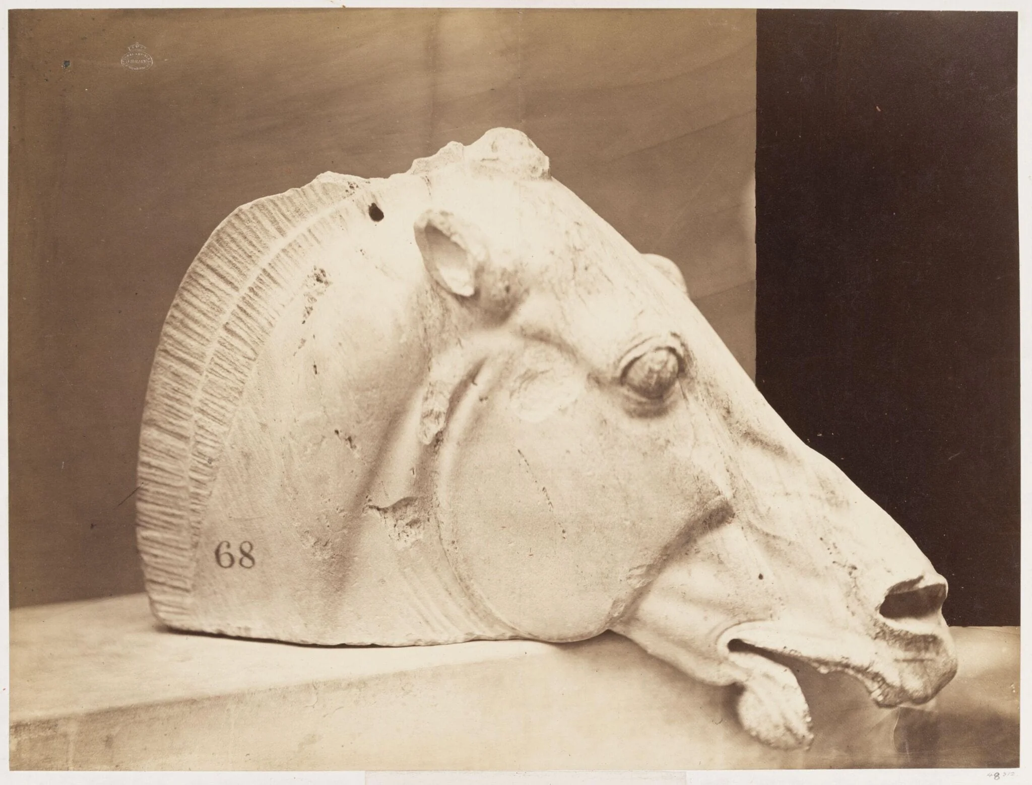 Head of one of the horses of the car of Silene