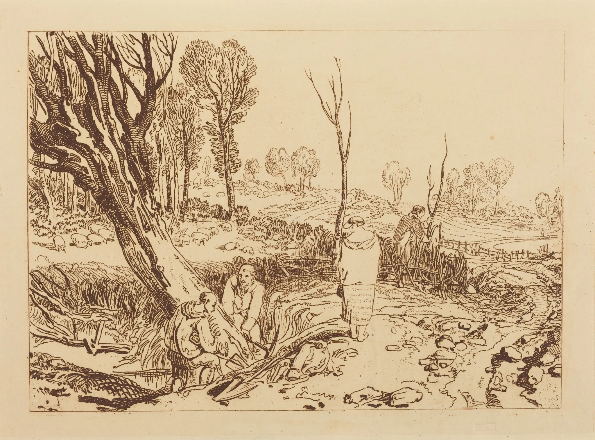 Hedging and Ditching