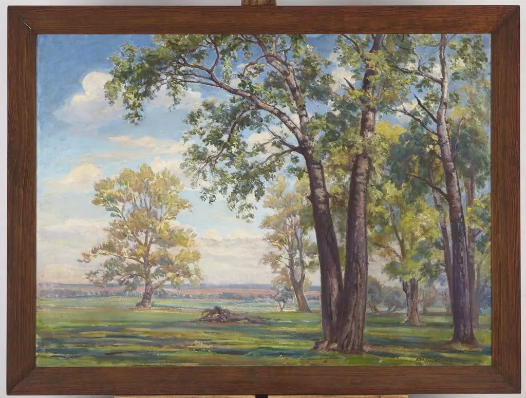 Forest Landscape