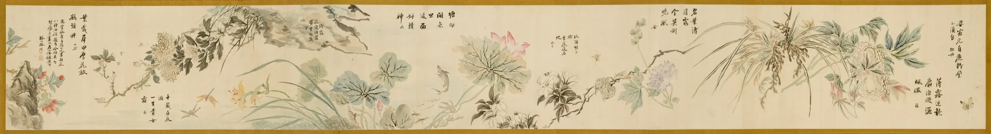 Flowers and Insects