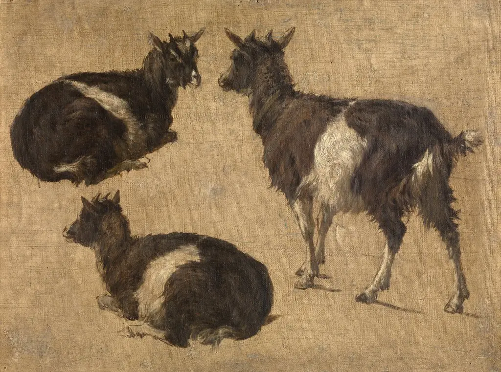 Goats