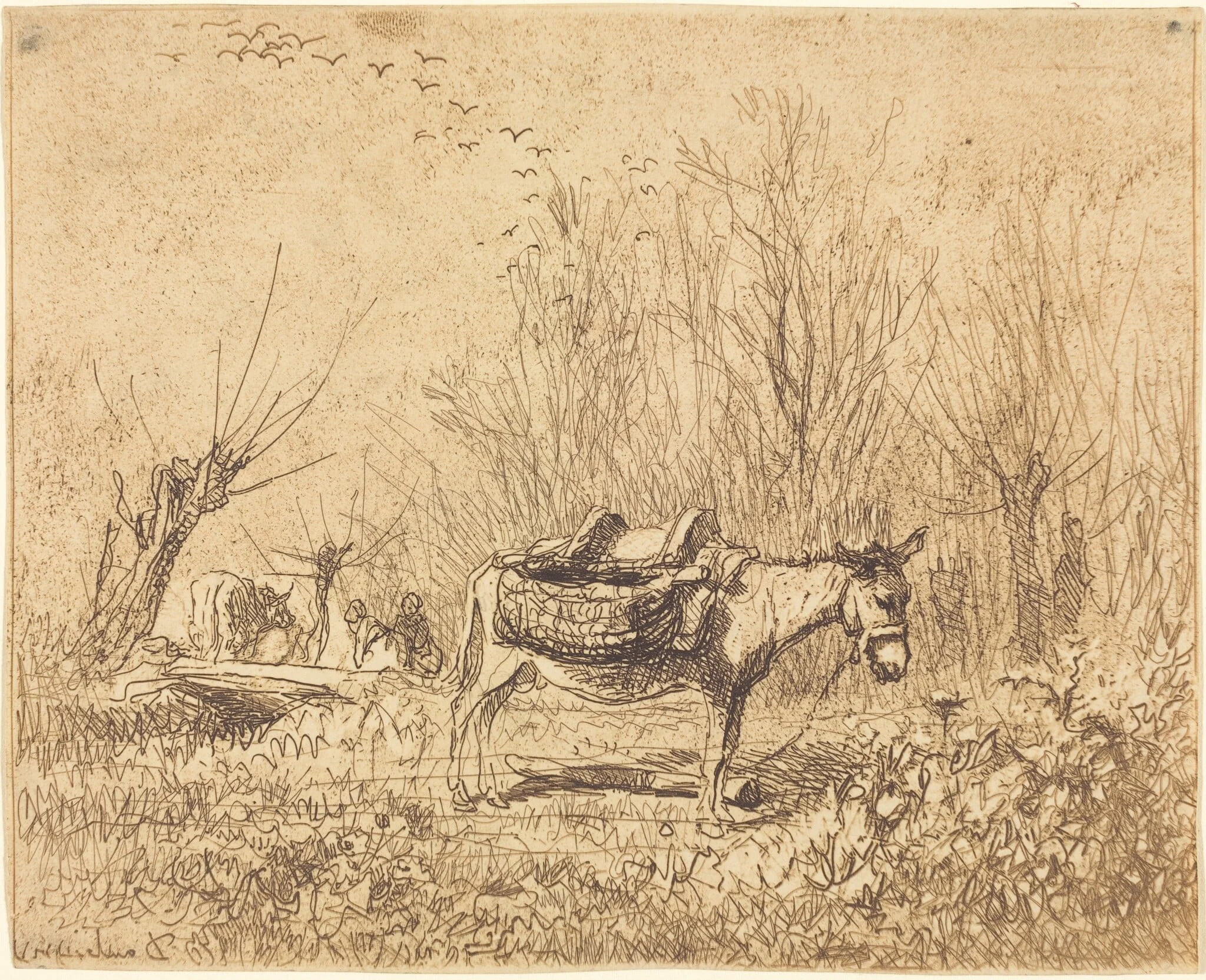 Donkey in a Field (L'Ane au pre), by Charles François Daubigny, 1862