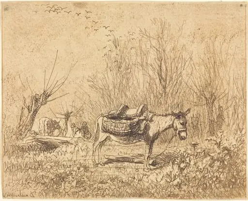 Donkey in a Field (L'Ane au pre)