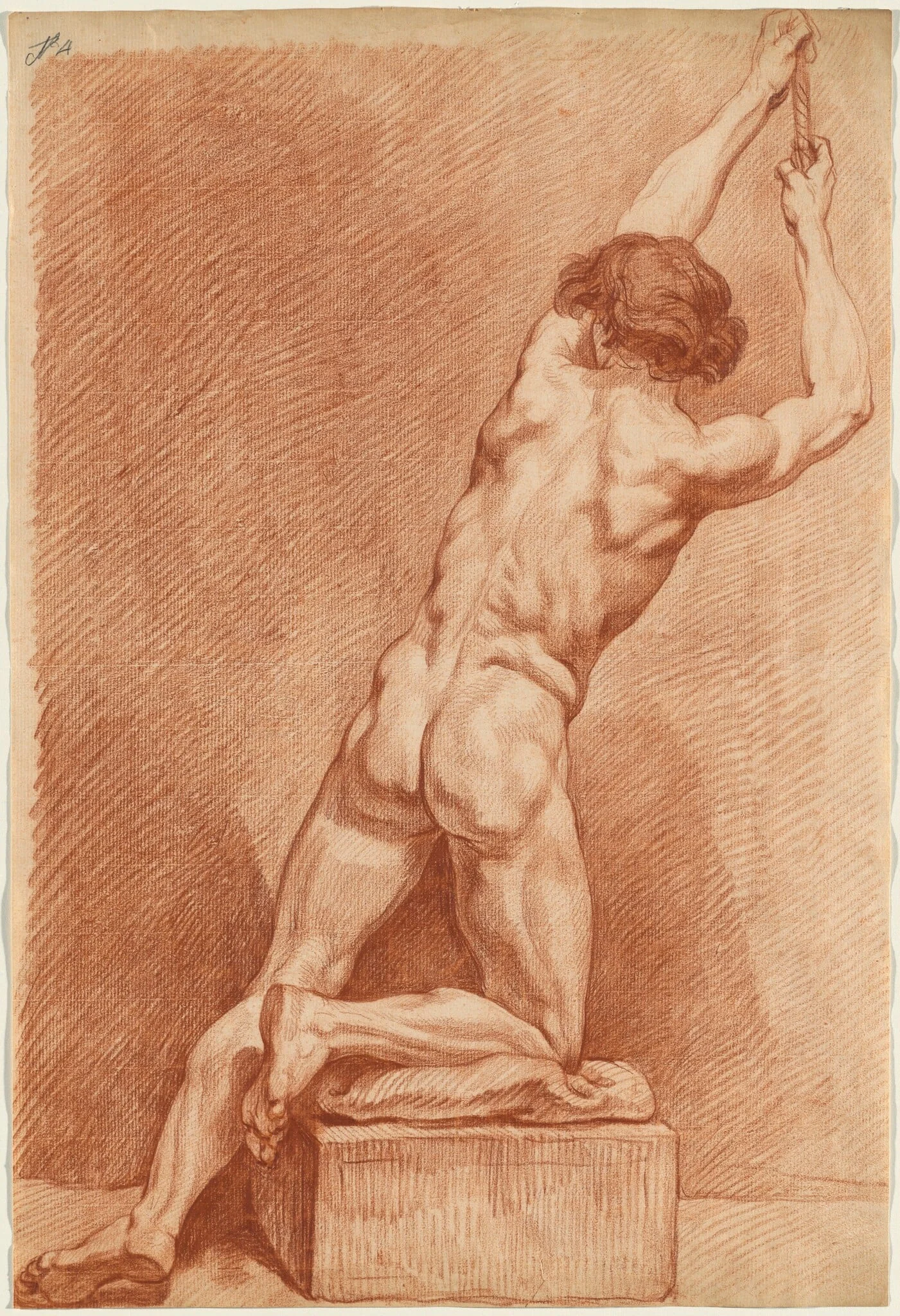 A Male Nude Seen from Behind