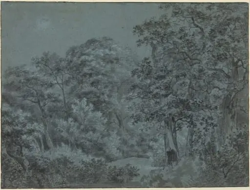 In the Hague Woods