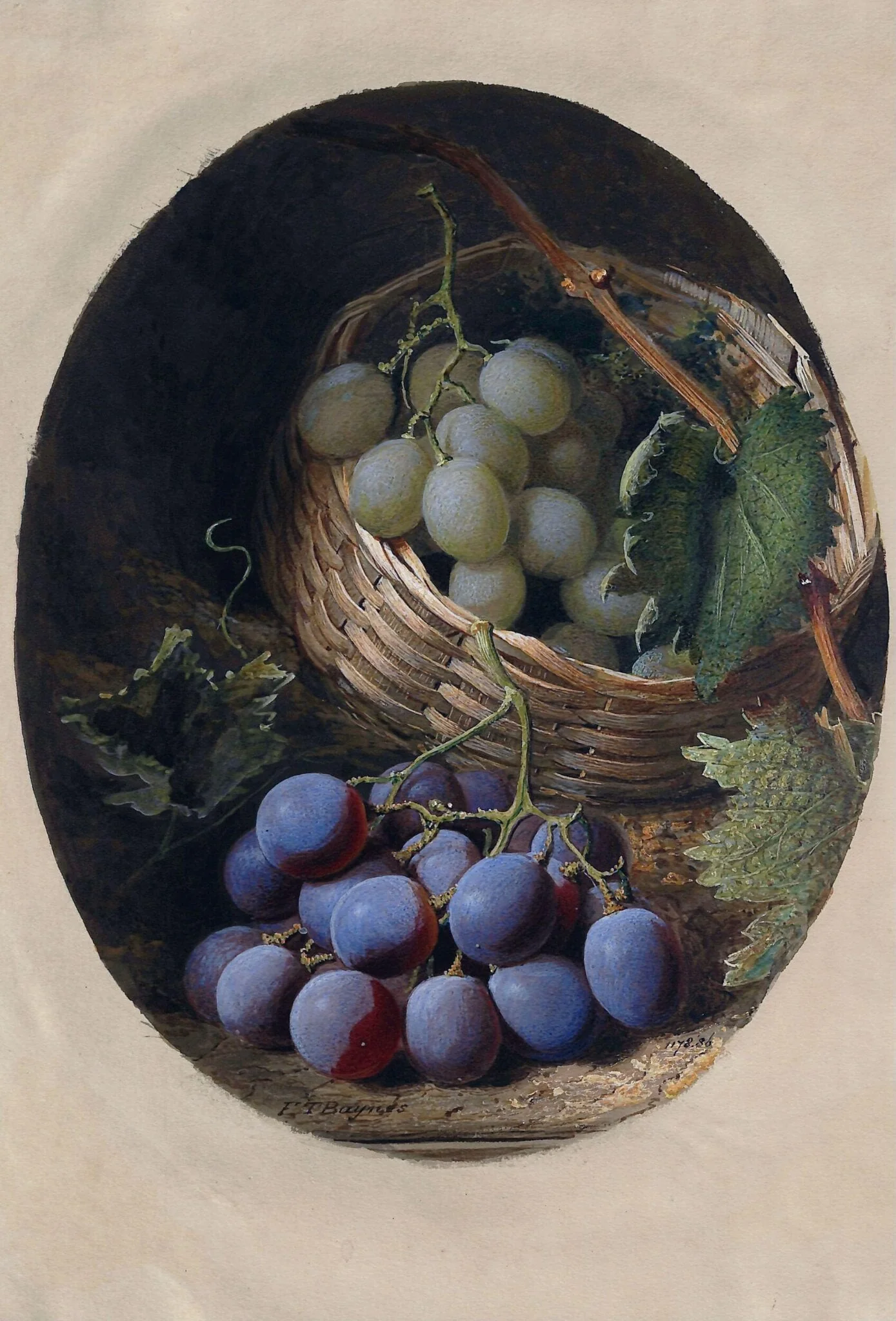 Red and White Grapes, by Frederick T. Baynes, watercolor, 1833