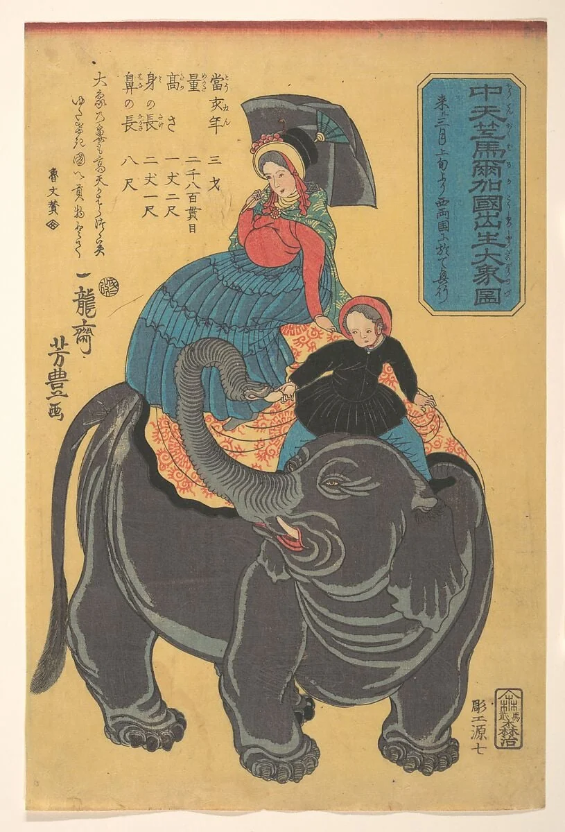 Chū tenjiku Maruka koku shūsshō daizō zu|Picture of an Elephant Born in Maruka in Central India