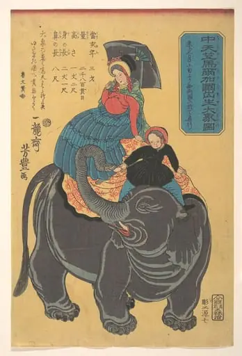 Chū tenjiku Maruka koku shūsshō daizō zu|Picture of an Elephant Born in Maruka in Central India