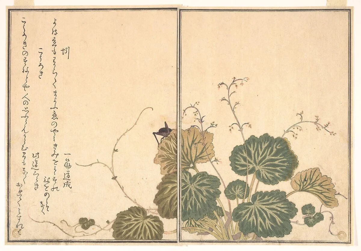 『画本虫撰』「蚓」「こうろき」|Earthworm (Mimizu); Cricket (Kōrogi), from the Picture Book of Crawling Creatures (Ehon mushi erami), by Kitagawa Utamaro, ink, 1788