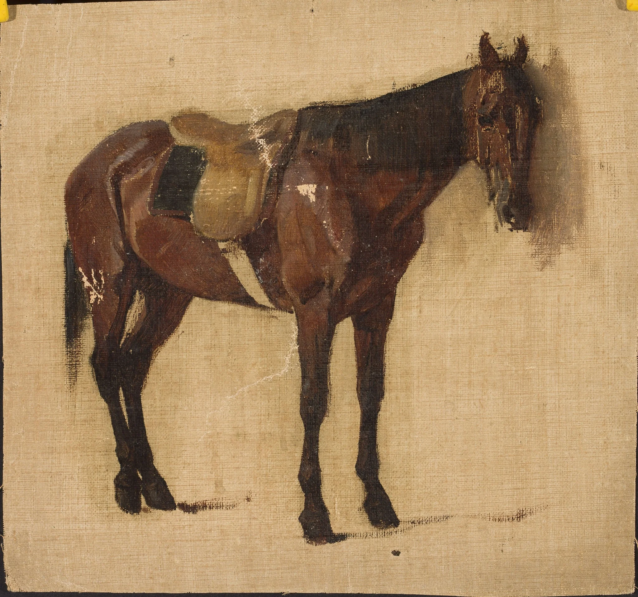 Study of a horse, by Jean Lulves, oil, 1871
