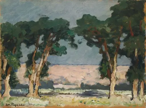 Peisaj