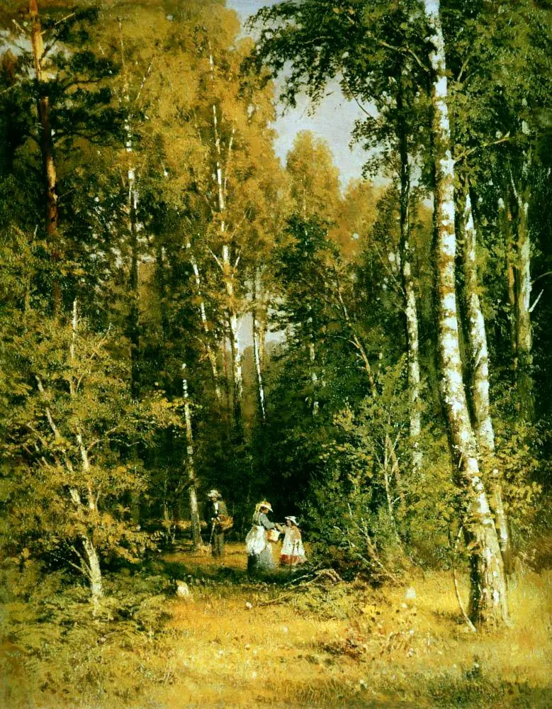 Birch grove