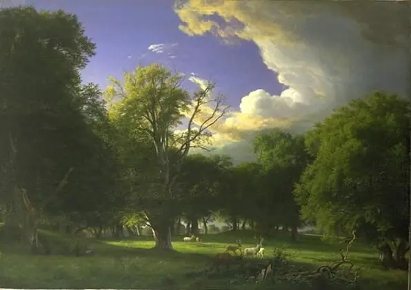 Summer Afternoon with a Passing Shower. The Deer Park in Jægersborg North of Copenhagen