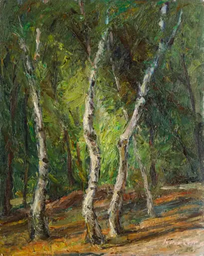 Pădure de mesteacăn