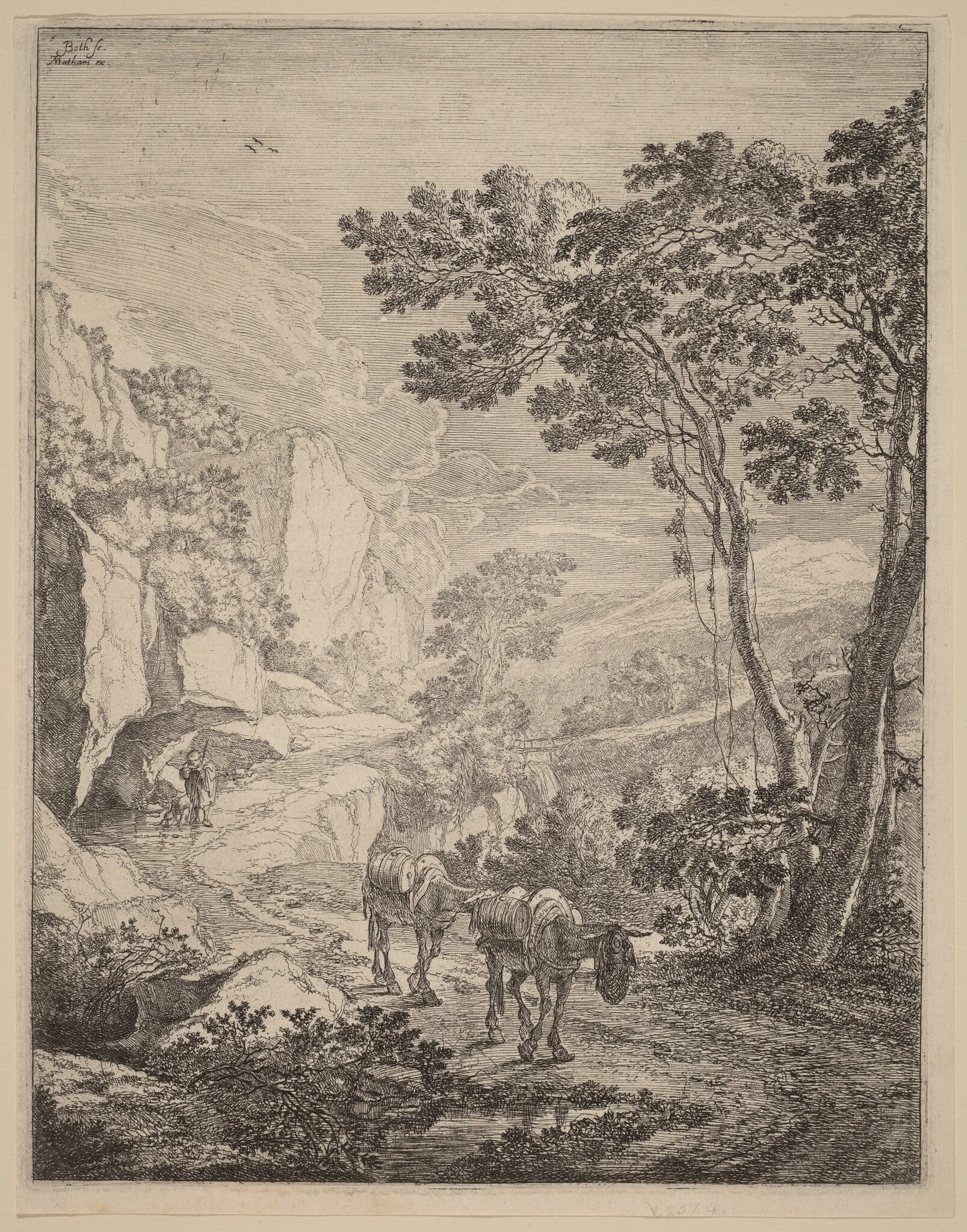 The Two Hinnies, by Jan Both, ink, 1700