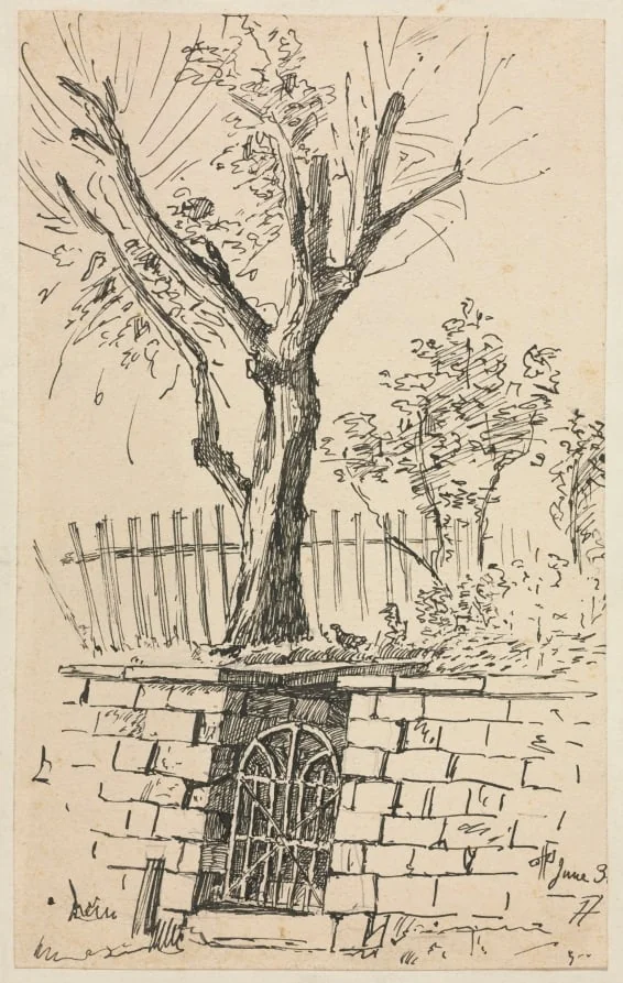 Tree on Top of a Stone Wall, Cleveland, by Otto Henry Bacher, 1887