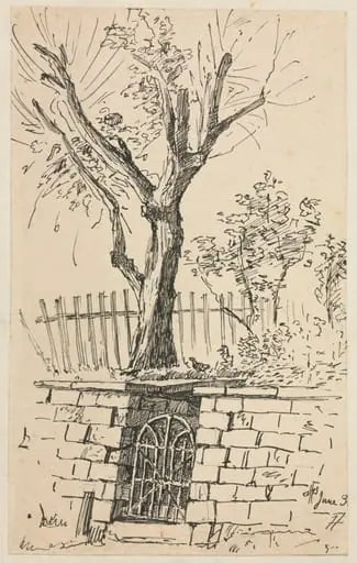 Tree on Top of a Stone Wall, Cleveland