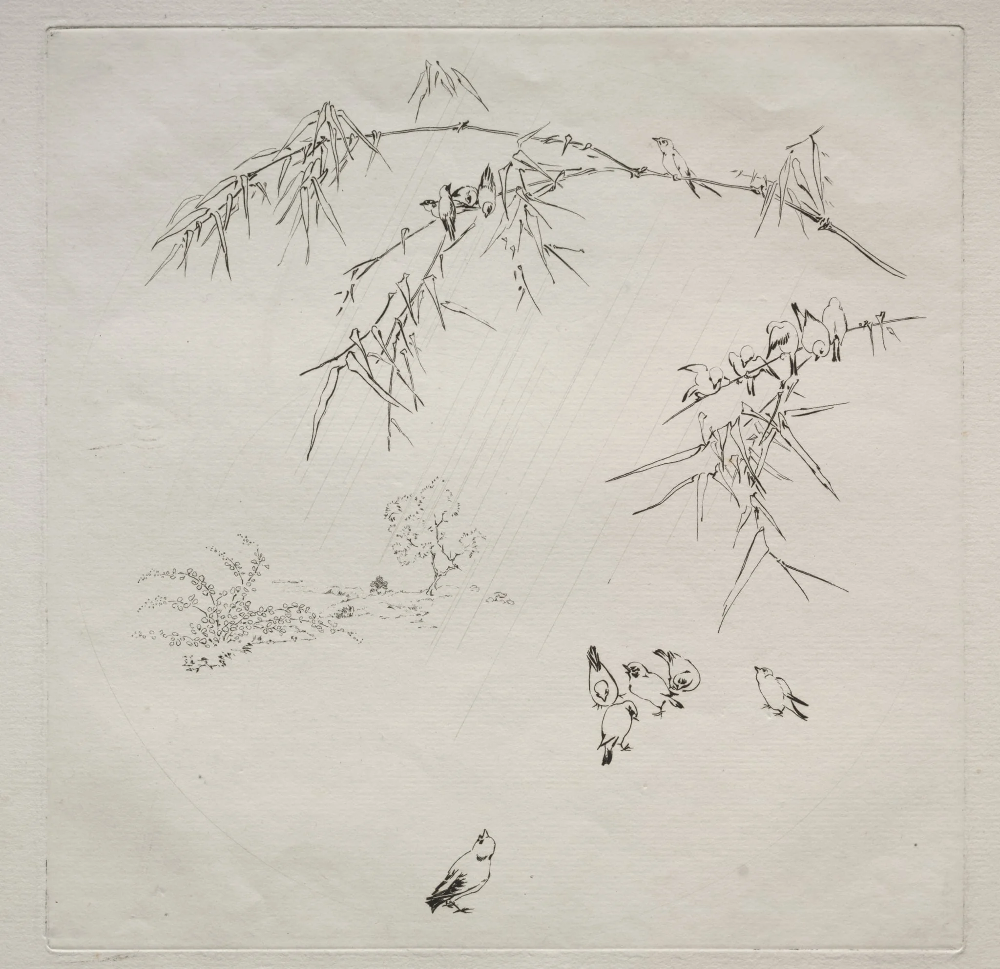 Parisian Service (Haviland service): Rain (no. 10), by Félix Bracquemond, 1875