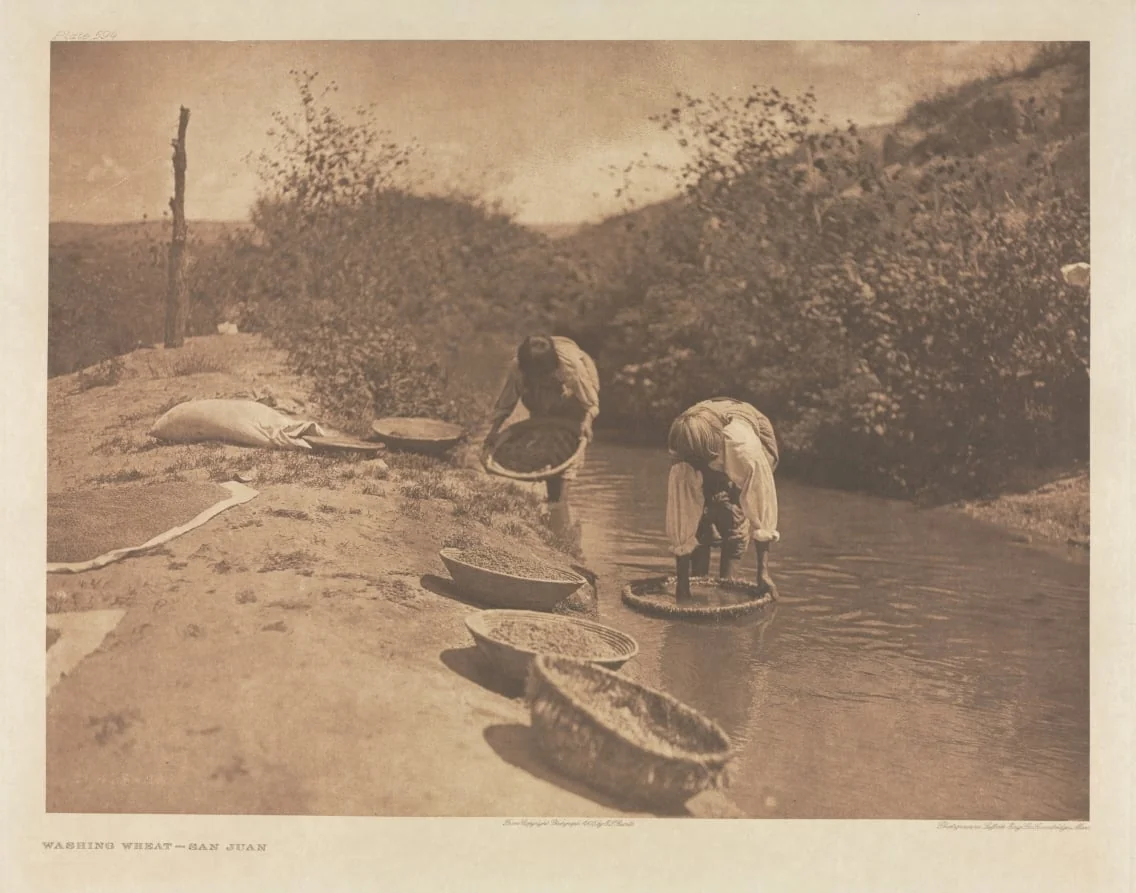 Portfolio XVII, Plate 594: Washing Wheat -  San Juan, by Edward S. Curtis, 1905
