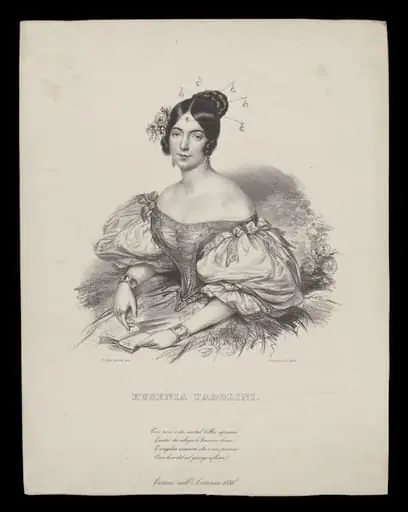 H Beard Print Collection