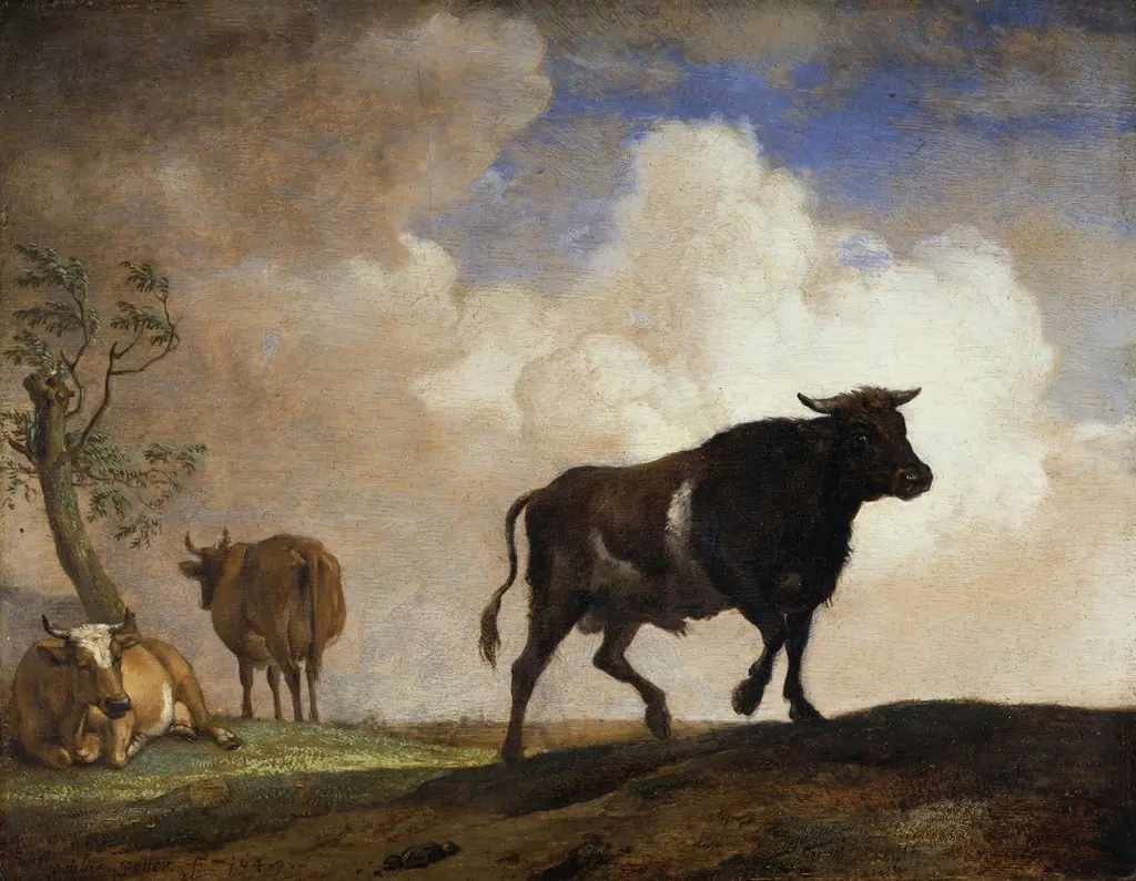 The Steer