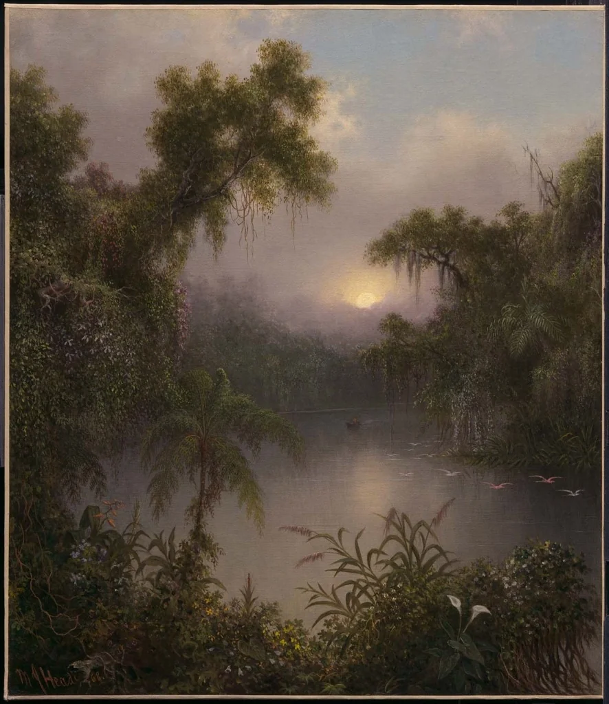 South American River