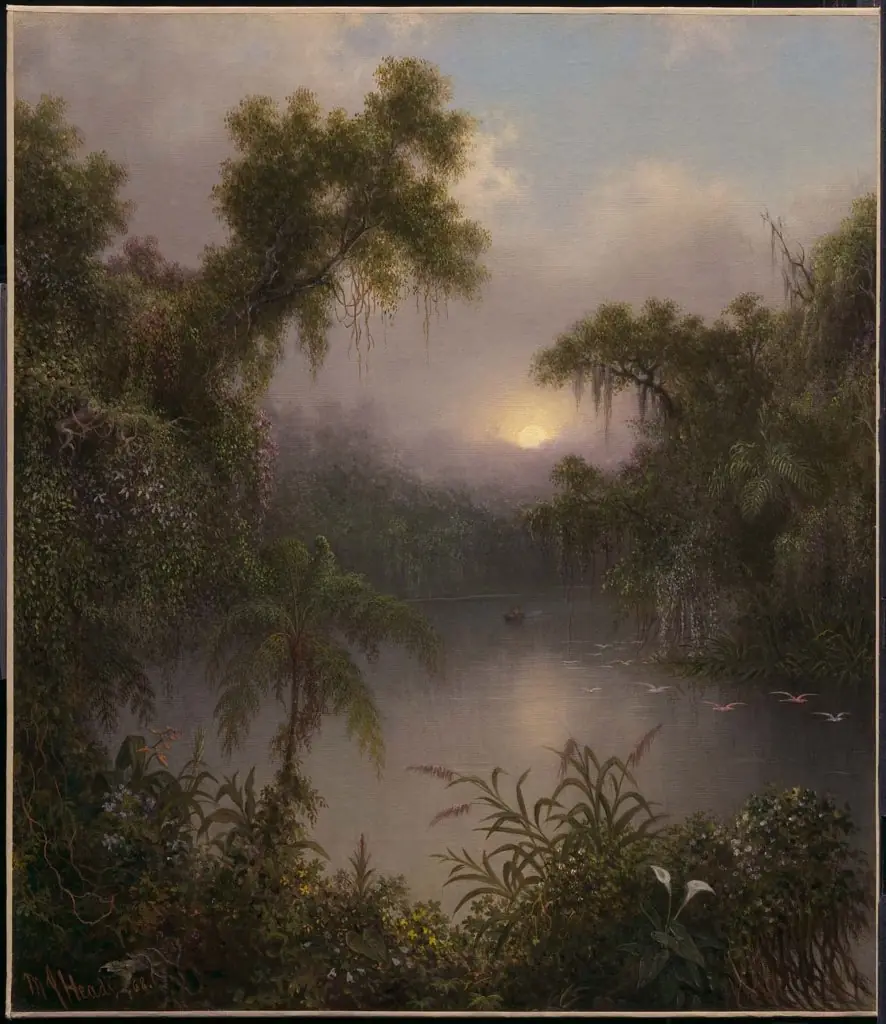 South American River