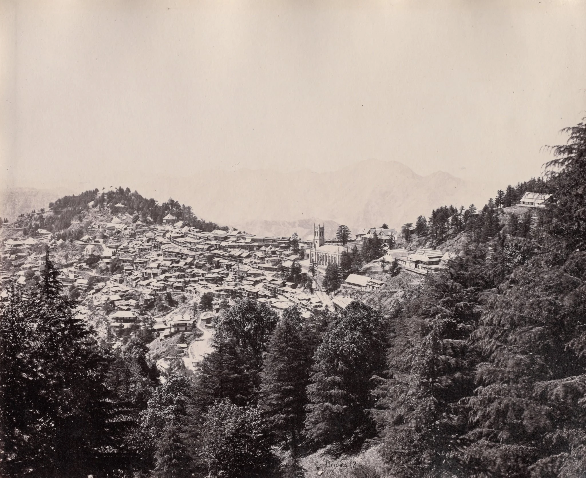 Shimla