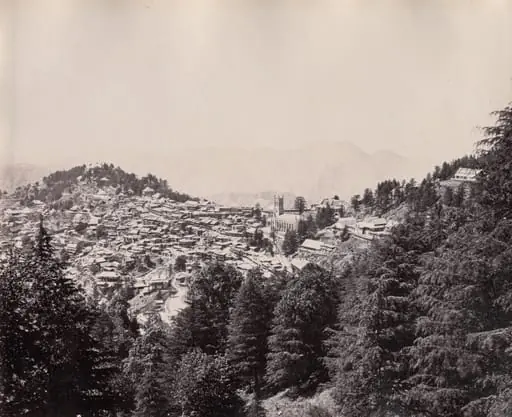Shimla