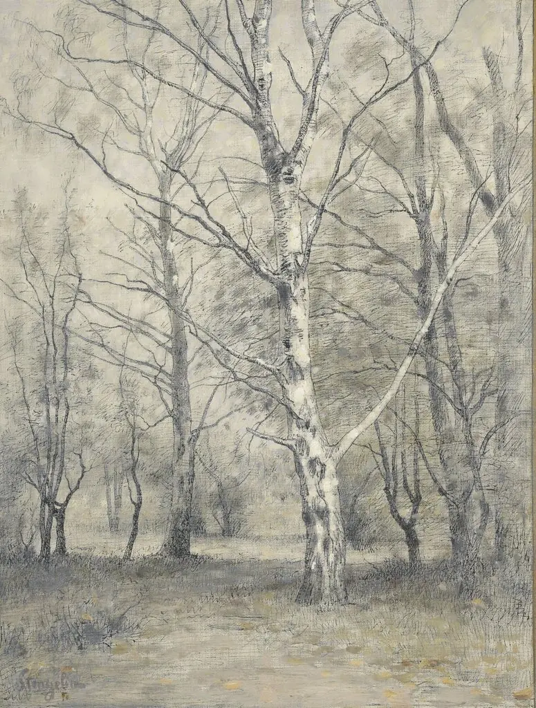 Bos met berkebomen