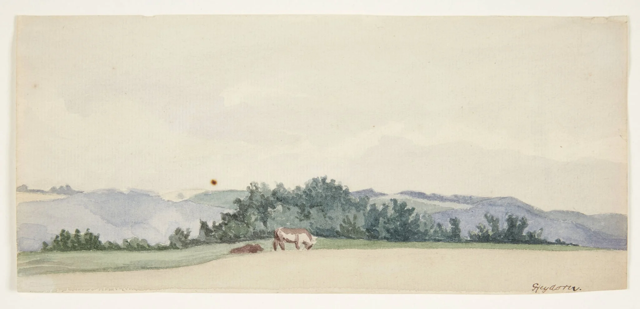 Bakket landskab med køer, by Unknown, unspecified, 1913