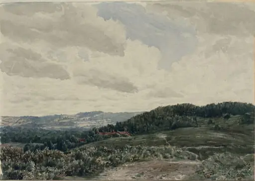 Landscape
