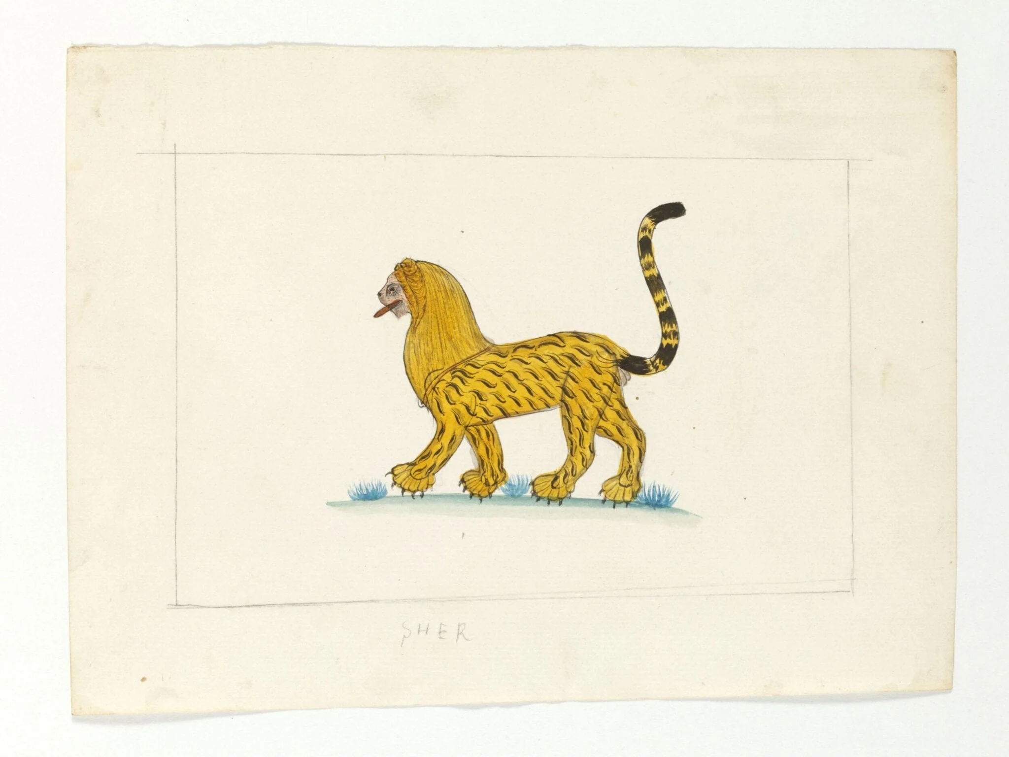A lion-cum-tiger with a mane