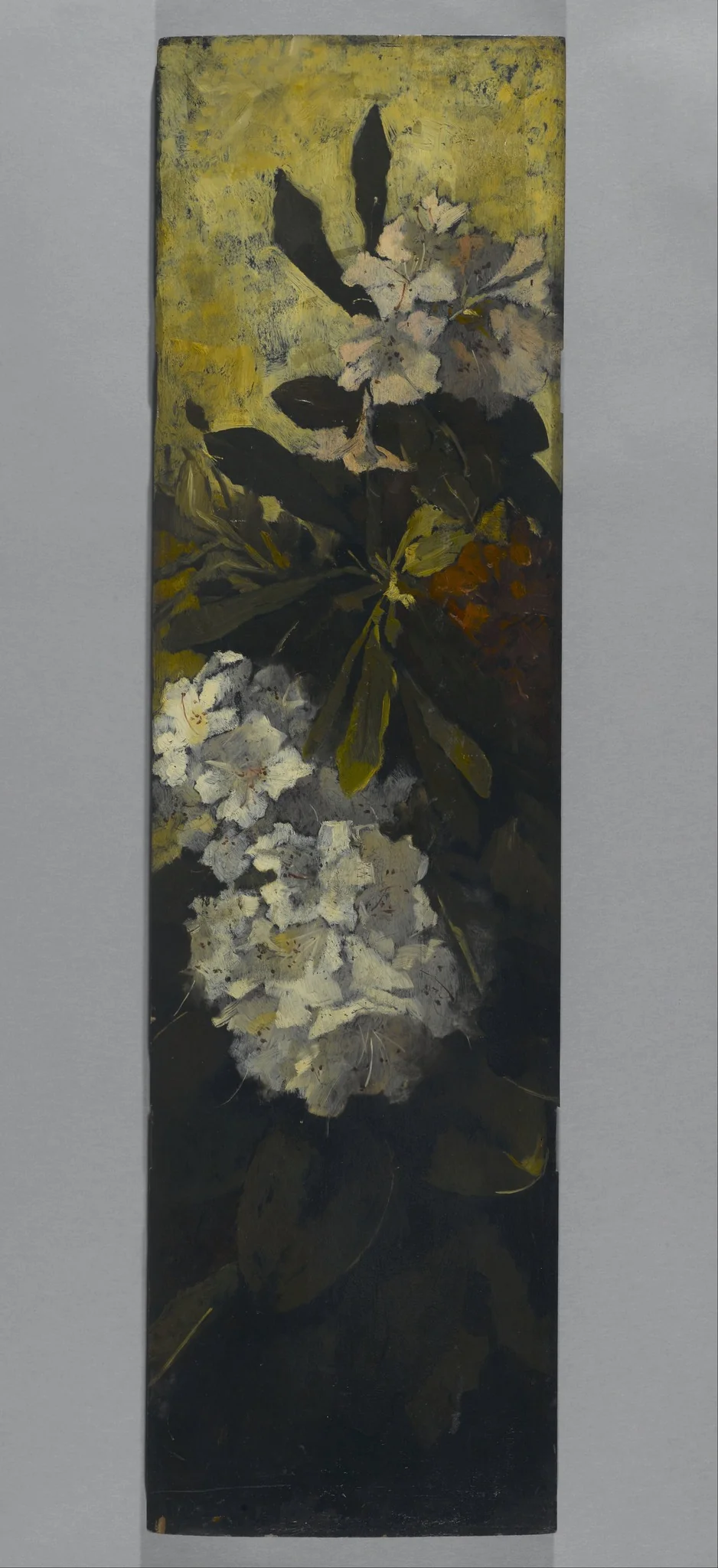Rhododendrons, by Elizabeth Boott, unspecified, 1892