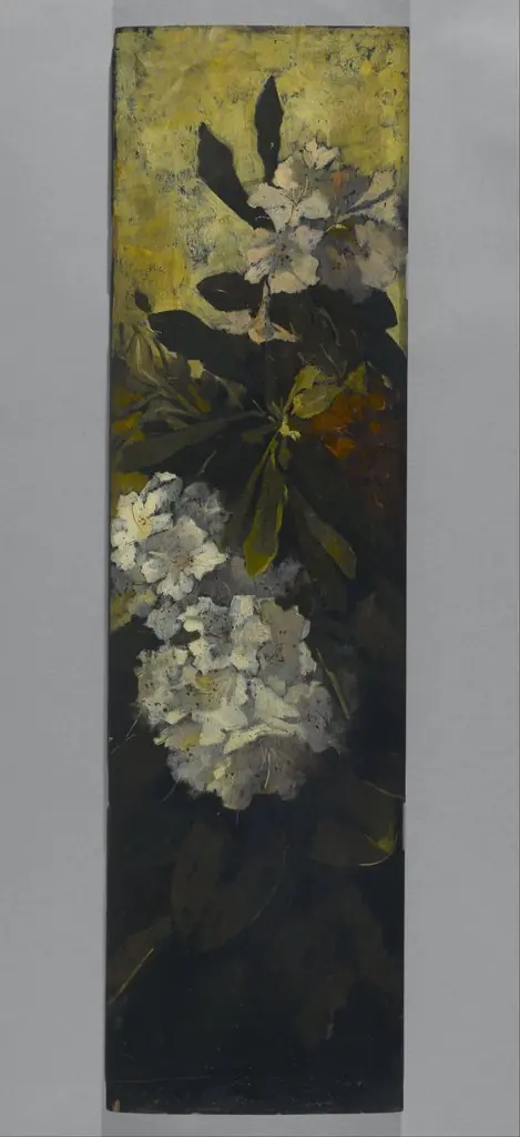 Rhododendrons
