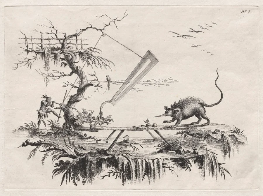 A new device to cleave wild beasts from Head to Tail, by Filippo Morghen, 1769