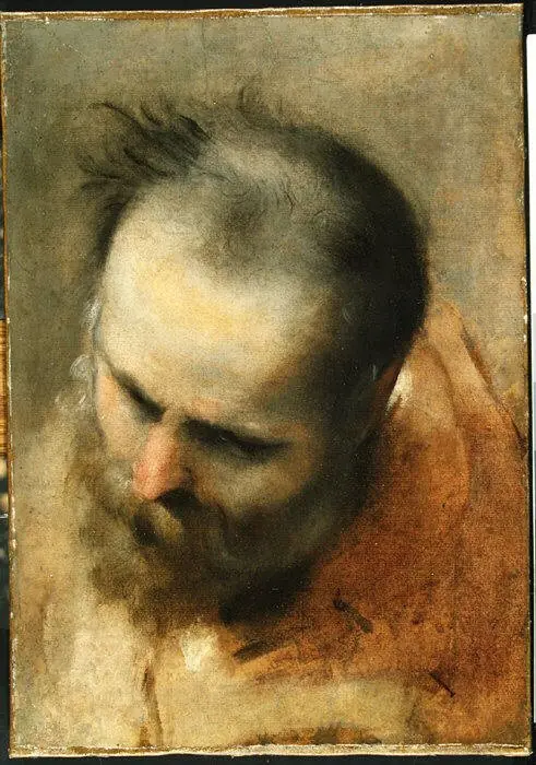 Head of a Bearded Man Looking to Lower Left (Nicodemus)