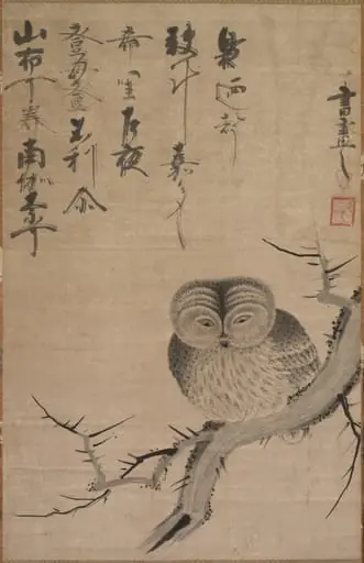 Owl