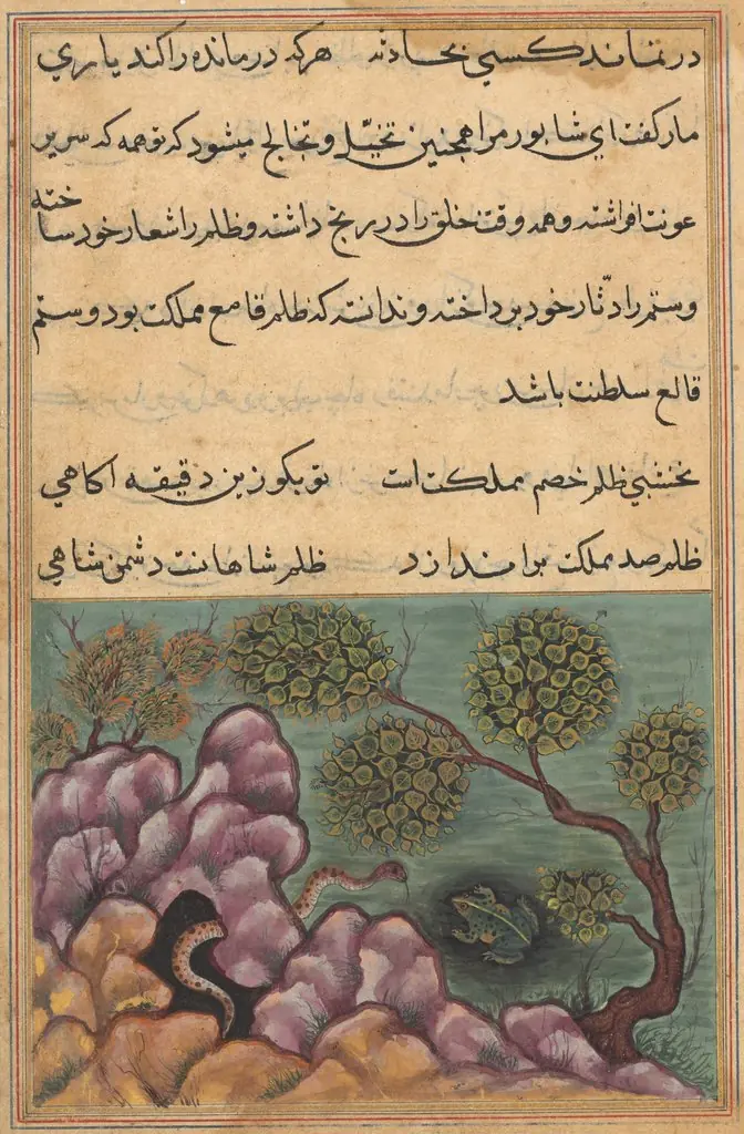 The dethroned frog Shapur seeks the help of the serpent, from a Tuti-nama (Tales of a Parrot): Twenth-sixth Night