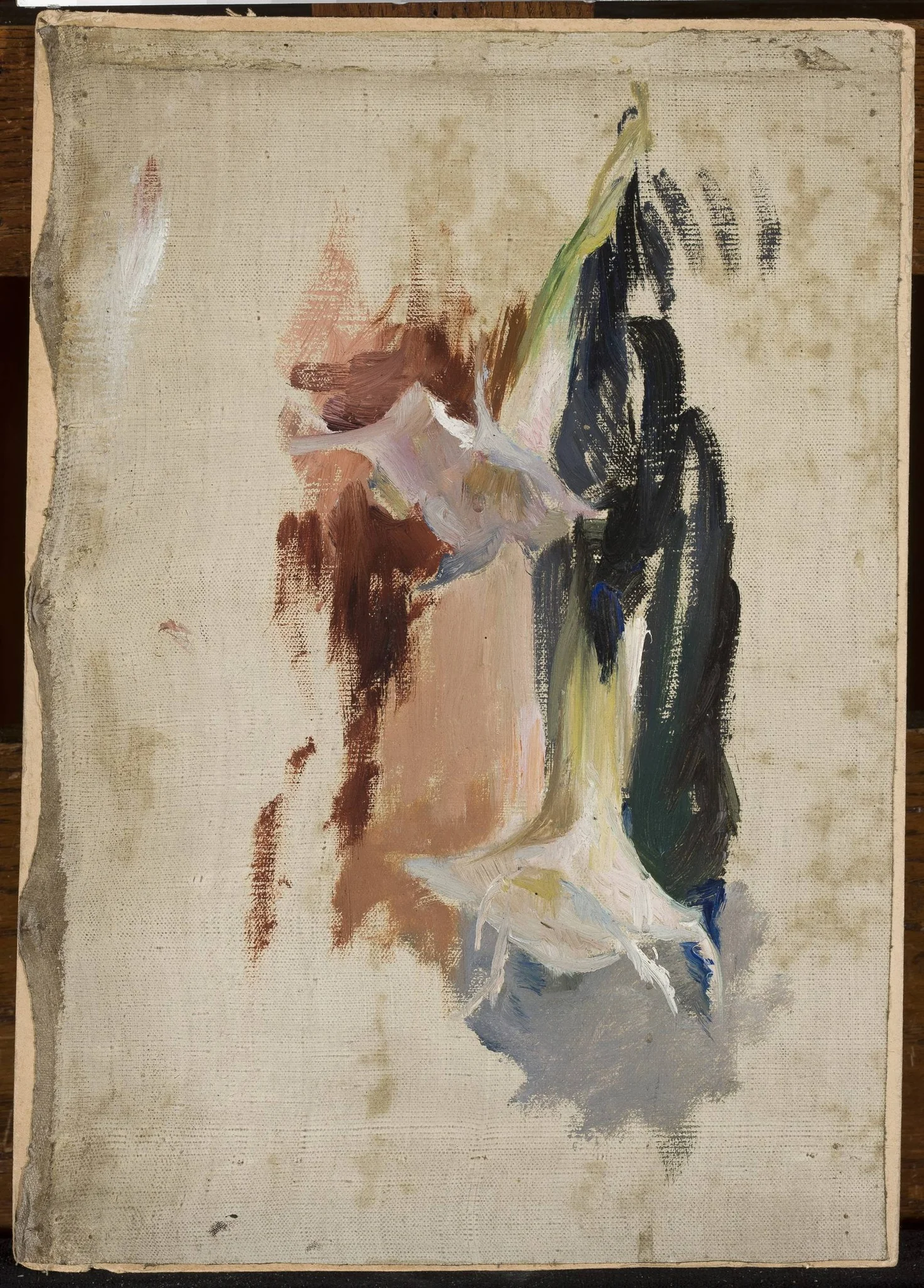 Study of a flower, by Jan Ciągliński, unspecified, 1895