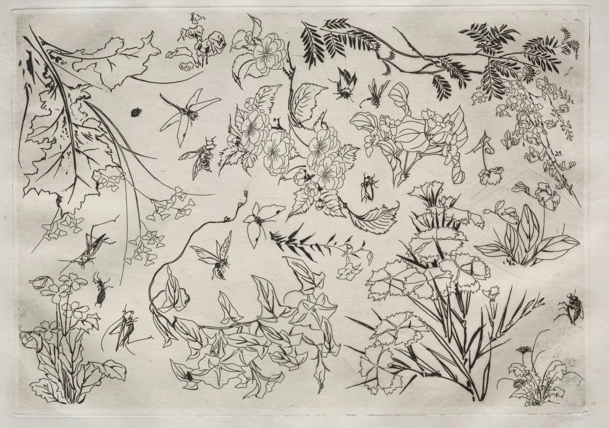 Dinner Service (Rousseau service): Flowers (no. 22), by Félix Bracquemond, 1866