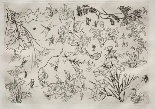 Dinner Service (Rousseau service): Flowers (no. 22)