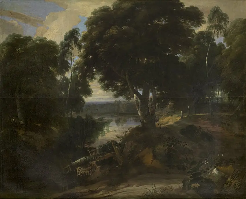Wooded Landscape