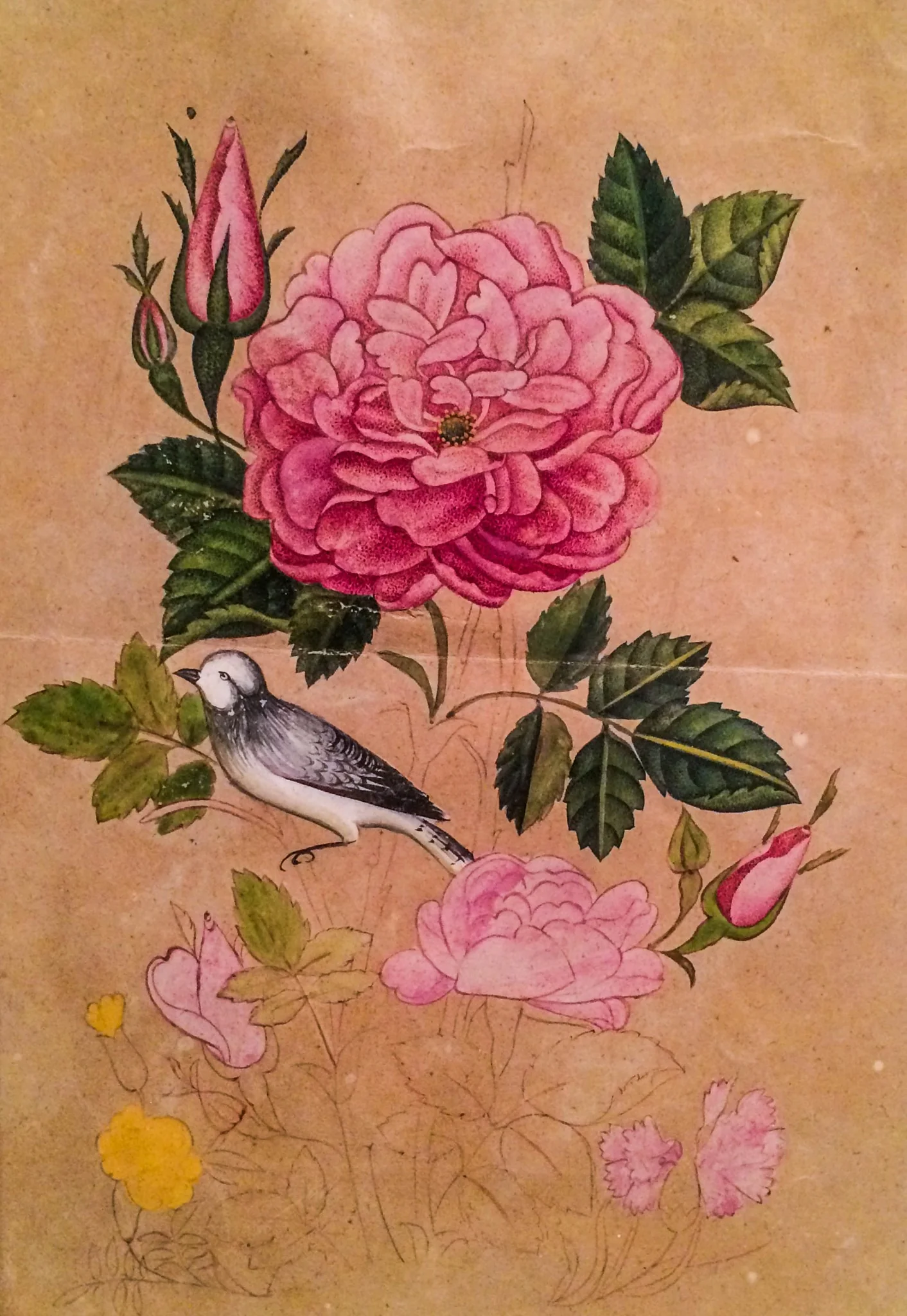 Rose and Nightingale