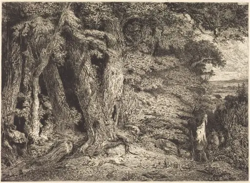 Entrance to the Forest