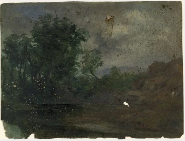 Trees by a Stream
