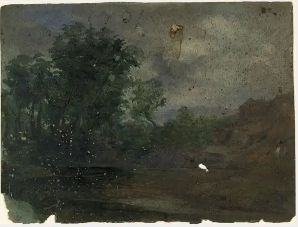 Trees by a Stream