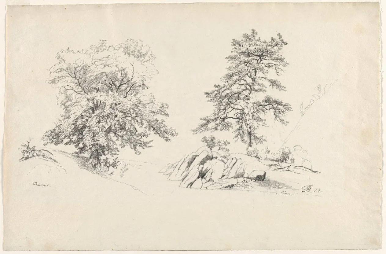 Chestnut and Pine, by David Johnson, 1869