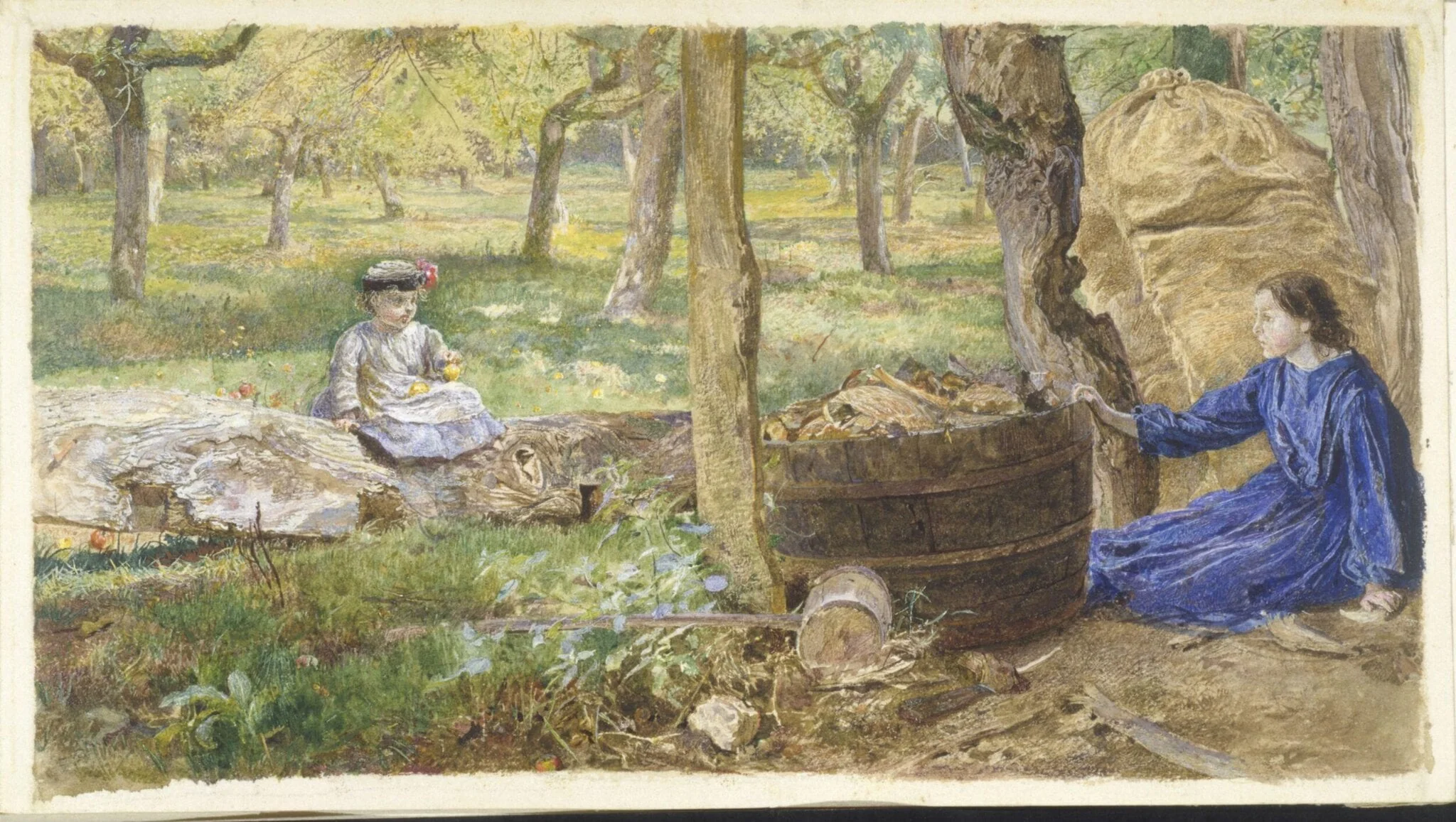 In an Orchard, Devon